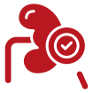 Single functioning kidney safety priority